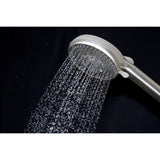 Regal 10-Function Hand Shower with Power Wash