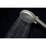Regal 10-Function Hand Shower with Power Wash