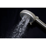Regal 10-Function Hand Shower with Power Wash