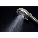 Regal 10-Function Hand Shower with Power Wash