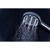 Regal 6-Function Hand Shower with Power Wash