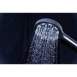 Regal 6-Function Hand Shower with Power Wash