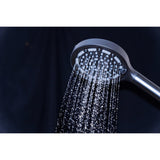 Regal 6-Function Hand Shower with Power Wash