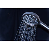 Regal 6-Function Hand Shower with Power Wash