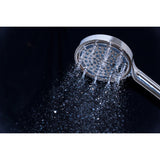 Regal 6-Function Hand Shower with Power Wash