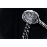 Regal 6-Function Hand Shower with Power Wash