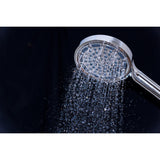 Regal 6-Function Hand Shower with Power Wash