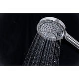 Regal 6-Function Hand Shower with Power Wash