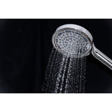 Regal 6-Function Hand Shower with Power Wash