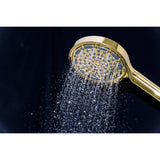 Regal 6-Function Hand Shower with Power Wash
