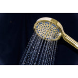 Regal 6-Function Hand Shower with Power Wash