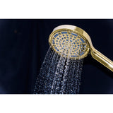 Regal 6-Function Hand Shower with Power Wash