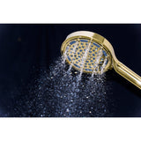 Regal 6-Function Hand Shower with Power Wash
