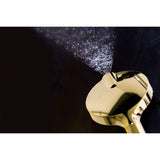 Regal 6-Function Hand Shower with Power Wash