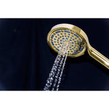 Regal 6-Function Hand Shower with Power Wash