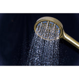 Regal 6-Function Hand Shower with Power Wash
