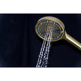 Regal 6-Function Hand Shower with Power Wash