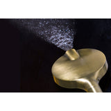 Regal 6-Function Hand Shower with Power Wash