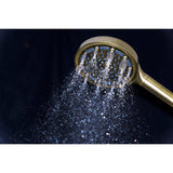 Regal 6-Function Hand Shower with Power Wash