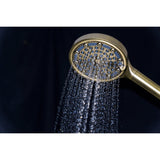 Regal 6-Function Hand Shower with Power Wash