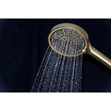 Regal 6-Function Hand Shower with Power Wash
