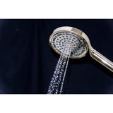 Regal 6-Function Hand Shower with Power Wash