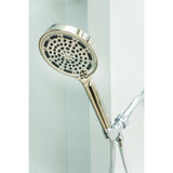 Regal 6-Function Hand Shower with Power Wash