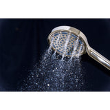 Regal 6-Function Hand Shower with Power Wash