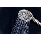Regal 6-Function Hand Shower with Power Wash