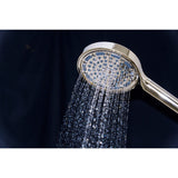 Regal 6-Function Hand Shower with Power Wash
