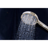 Regal 6-Function Hand Shower with Power Wash
