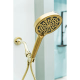 Regal 6-Function Hand Shower with Power Wash