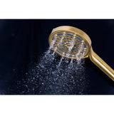Regal 6-Function Hand Shower with Power Wash