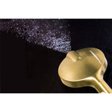 Regal 6-Function Hand Shower with Power Wash