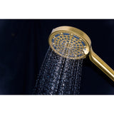 Regal 6-Function Hand Shower with Power Wash