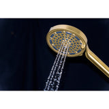 Regal 6-Function Hand Shower with Power Wash