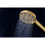Regal 6-Function Hand Shower with Power Wash