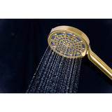 Regal 6-Function Hand Shower with Power Wash