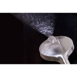 Regal 6-Function Hand Shower with Power Wash
