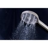 Regal 6-Function Hand Shower with Power Wash