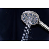 Regal 6-Function Hand Shower with Power Wash