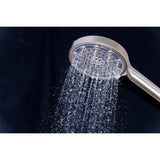 Regal 6-Function Hand Shower with Power Wash