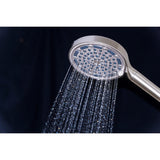 Regal 6-Function Hand Shower with Power Wash