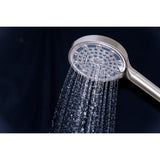 Regal 6-Function Hand Shower with Power Wash