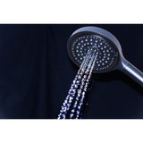 Regal 6-Function Hand Shower with Power Wash
