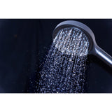 Regal 6-Function Hand Shower with Power Wash