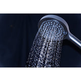 Regal 6-Function Hand Shower with Power Wash