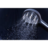 Regal 6-Function Hand Shower with Power Wash