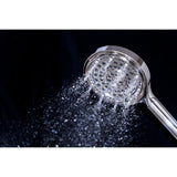 Regal 6-Function Hand Shower with Power Wash
