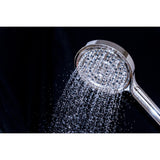 Regal 6-Function Hand Shower with Power Wash